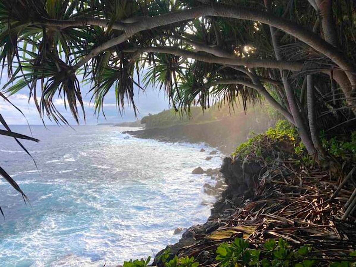 Seaside House And Aloha Bungalow Pahoa Exterior photo