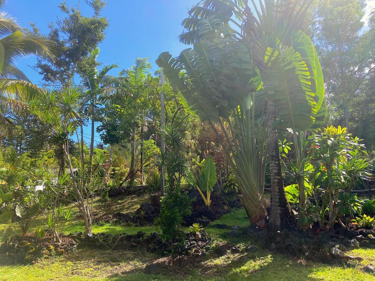 Seaside House And Aloha Bungalow Pahoa Exterior photo